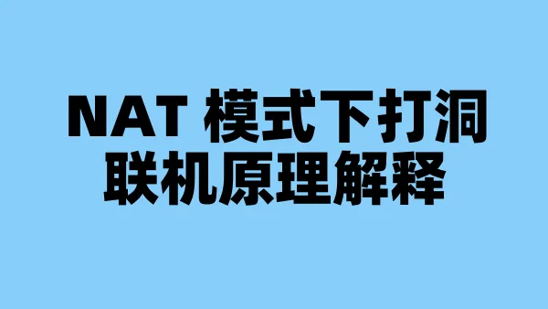 NAT 模式下打洞联机原理解释