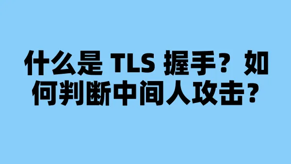 什么是 TLS 握手？如何判断中间人攻击？