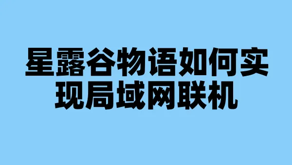 星露谷物语如何实现局域网联机
