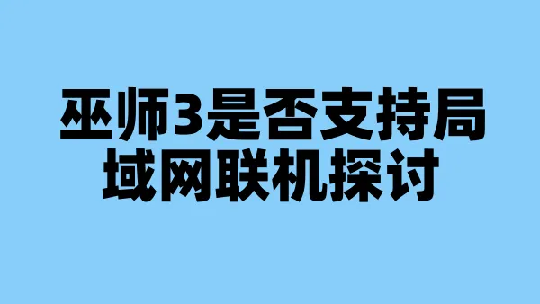 巫师3是否支持局域网联机探讨