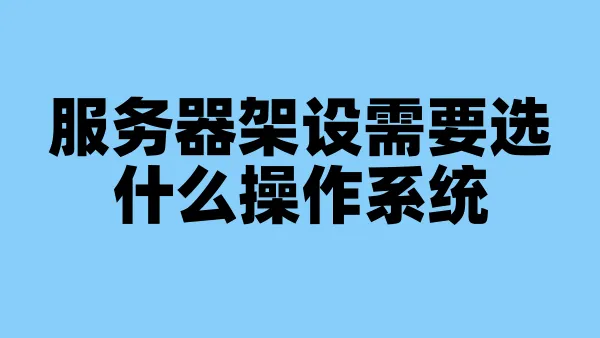 服务器架设需要选什么操作系统