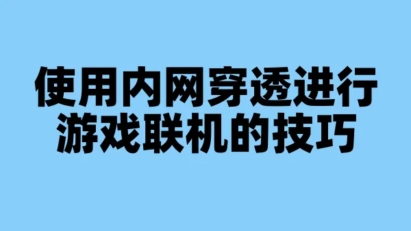 使用内网穿透进行游戏联机的技巧