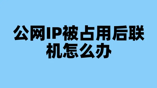 公网IP被占用后联机怎么办