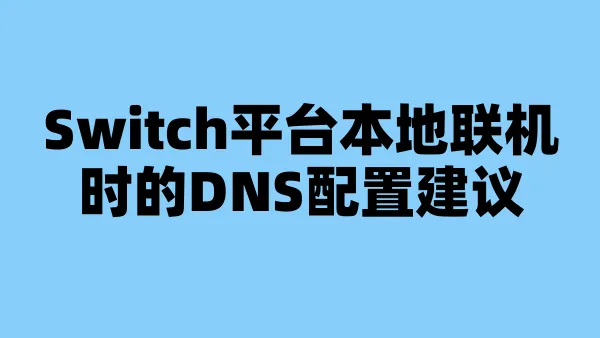 Switch平台本地联机时的DNS配置建议