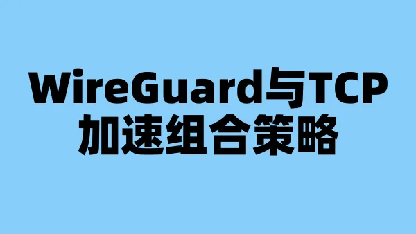 WireGuard与TCP加速组合策略