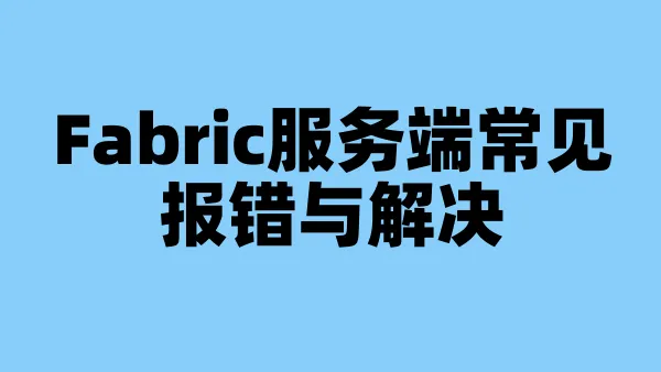 Fabric服务端常见报错与解决