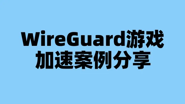 WireGuard游戏加速案例分享
