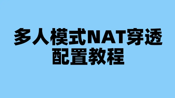 多人模式NAT穿透配置教程