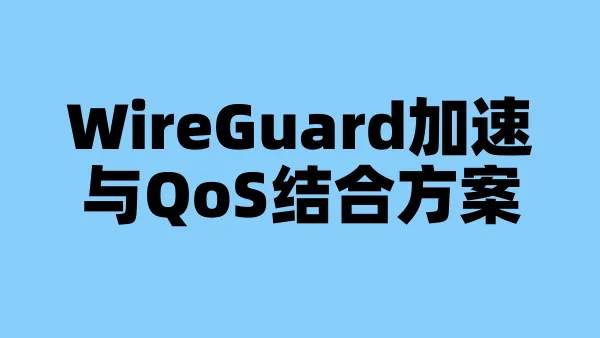 WireGuard加速与QoS结合方案
