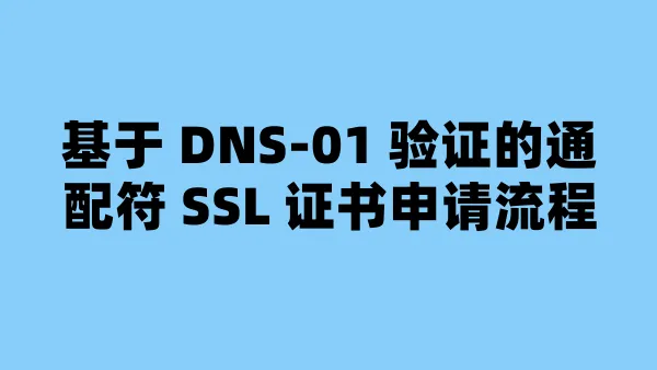 基于 DNS-01 验证的通配符 SSL 证书申请流程