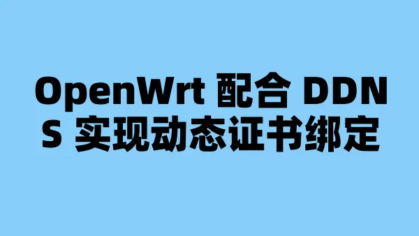 OpenWrt 配合 DDNS 实现动态证书绑定
