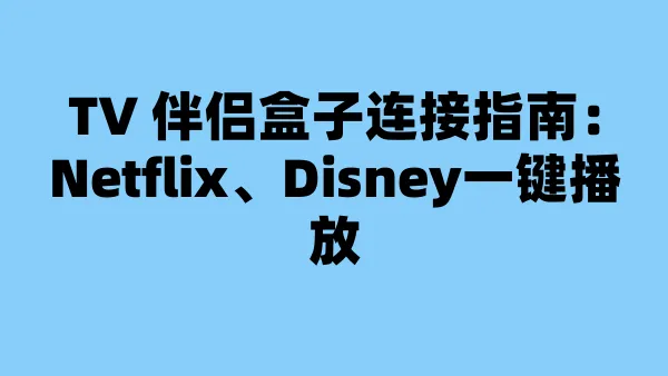 TV 伴侣盒子连接指南：Netflix、Disney一键播放