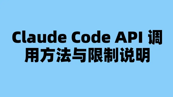 Claude Code API 调用方法与限制说明