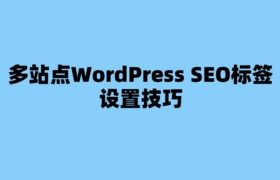 多站点WordPress SEO标签设置技巧